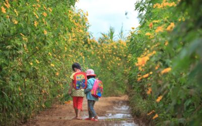 Wholesale School Backpacks: What Buyers Need to Know