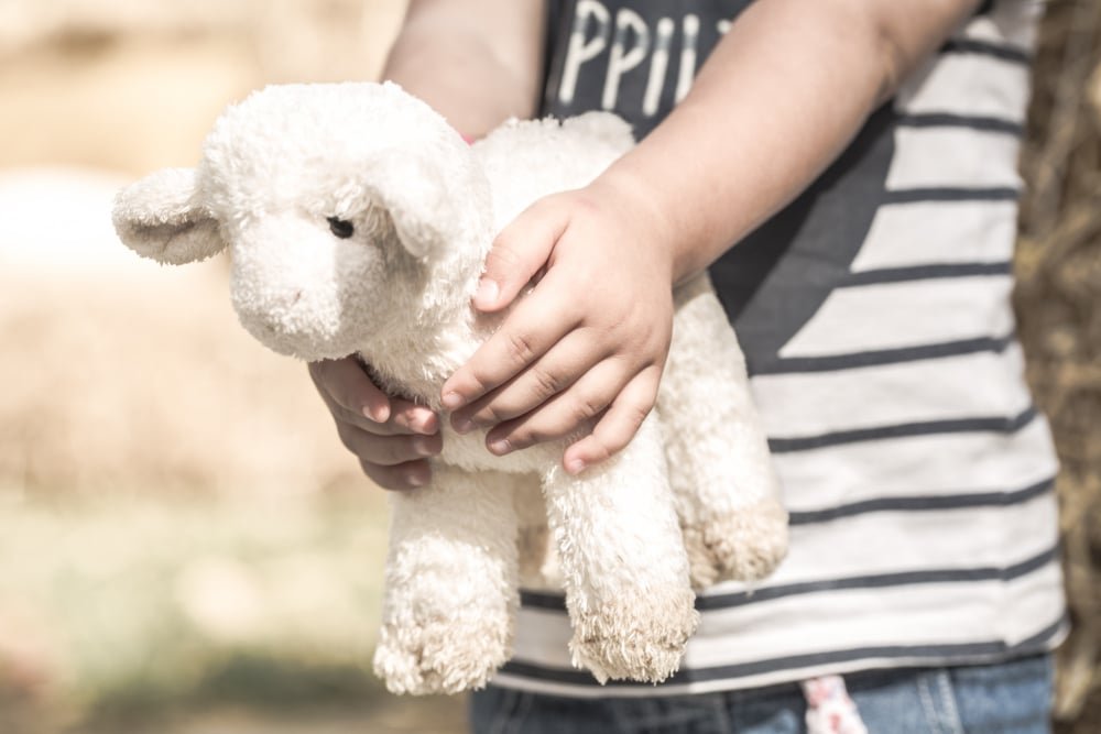 Image of a plushie in hand